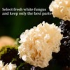 White Snow Fungus Mushroom Rootless Dried Snow Fungus Tremella Fuciformis