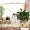 CocoroFactory Garden Ornament Dog Puppy Figurine Decoration Object Figure (Shih