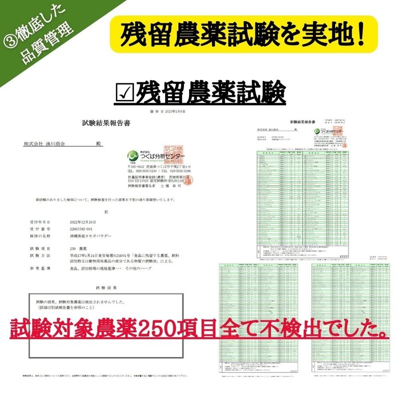 琉球ヨモギ粒 3袋 (60粒×3袋) よもぎ粒 沖縄県産 フーチバー ヨモギサプリメント