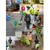 FXICH Inflatable Dion Costumes, Inflatable Dinosaur Costume, Adult Dinosaur Suit,