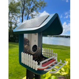 SplashNColor Double Perch Set Compatible with Bird Buddy – Outdoor Perch for Feeding Multiple Birds - Bird Buddy Accessories - Durable, Weatherproof Feeders for Outdoors - Bluebird Blue (Bundle)