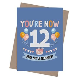 Funny 12th Birthday card for boy or girl with envelope | Unique and original card for son, daughter, grandson or granddaughter | You're Now 12