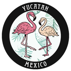 Blue Heron Two Flamingos Yucatan Mexico Car Truck Window Bumper Sticker Decal Souvenir - Black