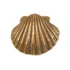 Bronze Scallop Scallop (Without Gift Box)