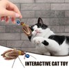Cat Toy Refill - Stress Kitten Teaser Toys - Kitten