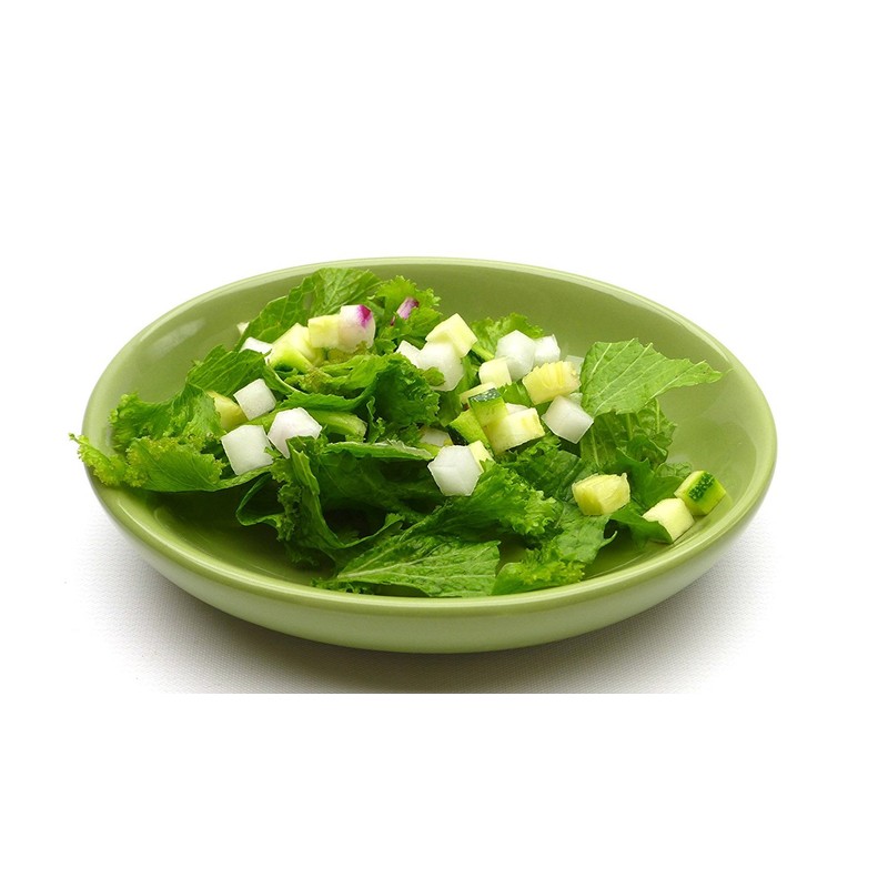 Carolina Reptile Veggie Chopper