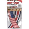 Rear view mirror car flags Costa Rica and USA unity