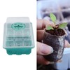10Pcs Seedling Trays 12 Hole Transparent Adjustable Ventilated Seedling Starter