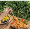 iBasingo 18.4cm Long Handle Titanium Fork Ultralight Outdoor Camping Cutlery