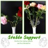 2Pcs Monstera Grapple,Monstera Leaf Plant Support,Turtle Shell Bamboo Clamp Set,Unique