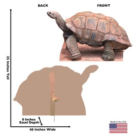 Cardboard People Tortoise Life Size Cardboard Cutout Standup