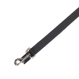 Zack & Zoey Basic Nylon Dog Leash