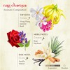 Nag Champa Incense Bricks Refill Pack (3 x 9 Bricks)