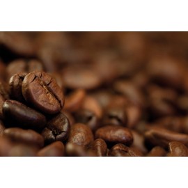 Olde World Coffee Company 2025 Brazilian Santos Bourbon - Fresh Roasted Coffee -  1  Bag  -  Whole Bean