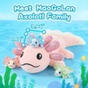 MaoGoLan Giant Axolotl Plush with 3 Babies Inside, 33" Axolotl