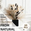 Black Bunny Tails Bouquet 60Pcs with Ivory Pampas Grass 17"
