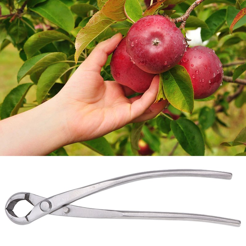 Concave Cutter Chromium Alloy Silver Bonsai Concave Branch Cutter Durable