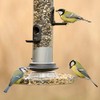 Cj wildlifeCj wildlife Wildbird Foods Feeder Tray Standard, Transparent, VIT-22043