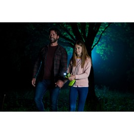 RYOBI RLF18-0 18V ONE+ Cordless Flashlight (Bare Tool), Hyper Green