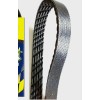 Continental Elite NEW Serpentine Poly-V The Quiet Belt GOODYEAR GATORBACK