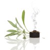 Arabian Incense (Bakhoor) Kit & Discovery Set – Complete Starter