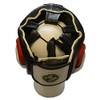 Ring to Cage Deluxe Full Face GelTech Sparring Headgear 2.0