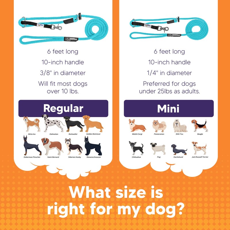 Heather's Heroes Sidekick Dog Headcollar with Leash - Sidekick Leash