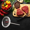 FACKELMANN 63803 Roasting Thermometer, 14 cm, Stainless Steel