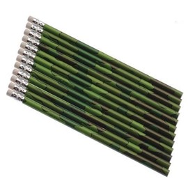 KidFun Products Camo Pencil Science Kit (2-Pack)