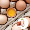 FKWKUW Pack of 3 Egg Cutter, Egg Lid Cutter, Egg