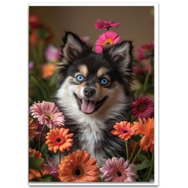 Pomsky with Flowers All Occasions Greeting Card - Dog with Flowers from Unique Dogs Party Delights Collection - Large 5x7 Inch - Blank Inside with A7 Invitation Style White Envelope