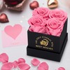 MestectPET Rose Box with 4 Infinity Roses, Pink Eternal Rose