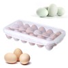 Plastic Egg Box Egg Box for 18 Eggs Egg Container