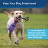 PetSafe Busy Buddy Tug-A-Jug M/L and Interactive Meal Dispensing Dog