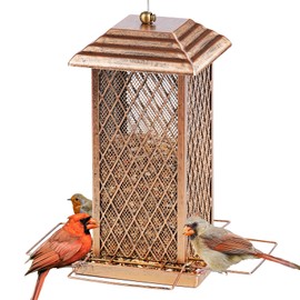 IWNTWY Bird Feeder, Heavy Duty Metal Squirrel Proof Wild Bird Feeders for Outdoor Hanging, Upgraded Large Birdfeeder for Garden Yard Backyard Decoration