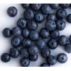 BLACKCURRANT Freeze Dried Whole | 200g - 7.1oz | 100%