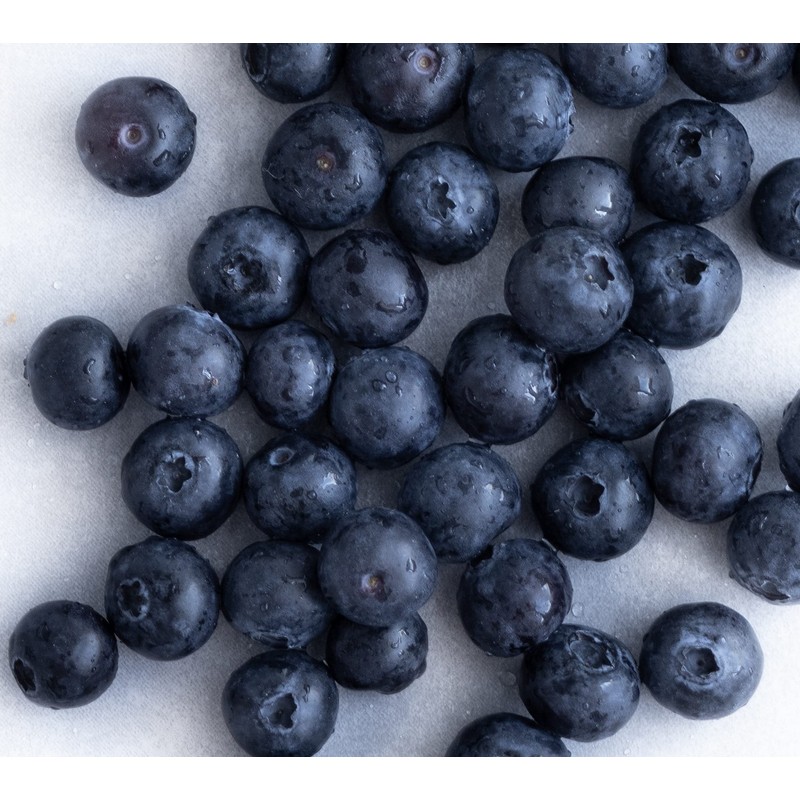 BLACKCURRANT Freeze Dried Whole | 200g - 7.1oz | 100%