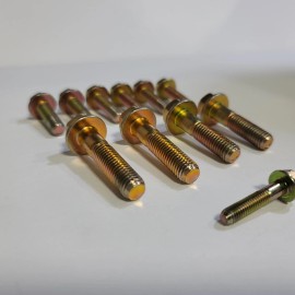 STRAIGHTBOOST Water Pump Bolts for Nissan Skyline R32 R33 R34 RB20 RB25 RB26  RB25DET RB20DET