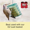 C&S Peanut Butter Delight Suet, 11.75-Ounce