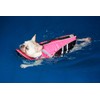 French Bulldog Life Jacket - Professional Dog Safety Vests for