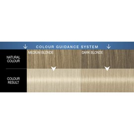Schwarzkopf Oleo Intense Blonde Hair Dye, Permanent Oil Colour, No Ammonia, Covers Greys, 12-00 Silver Blonde ,Pack of 3