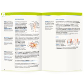 MedAT: BMS-Lernskriptum, Stoff Biologie, Chemie, Physik, Mathematik-Formeln |: MedAT HERO, Fit für den BMS, Medizin-Aufnahmetest (BMS-Skript-Stichwortliste) (MEDBREAKER | MedAT-Bücher-Vorbereitung)
