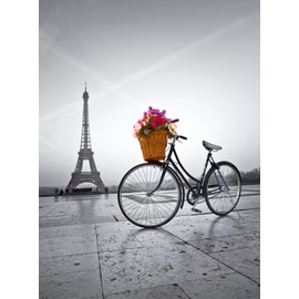 Clementoni "Romantic Promenade in Paris Puzzle (500 Piece)