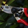 Siena Garden 691530 Premium Bypass Pruning Sheers 8 EG