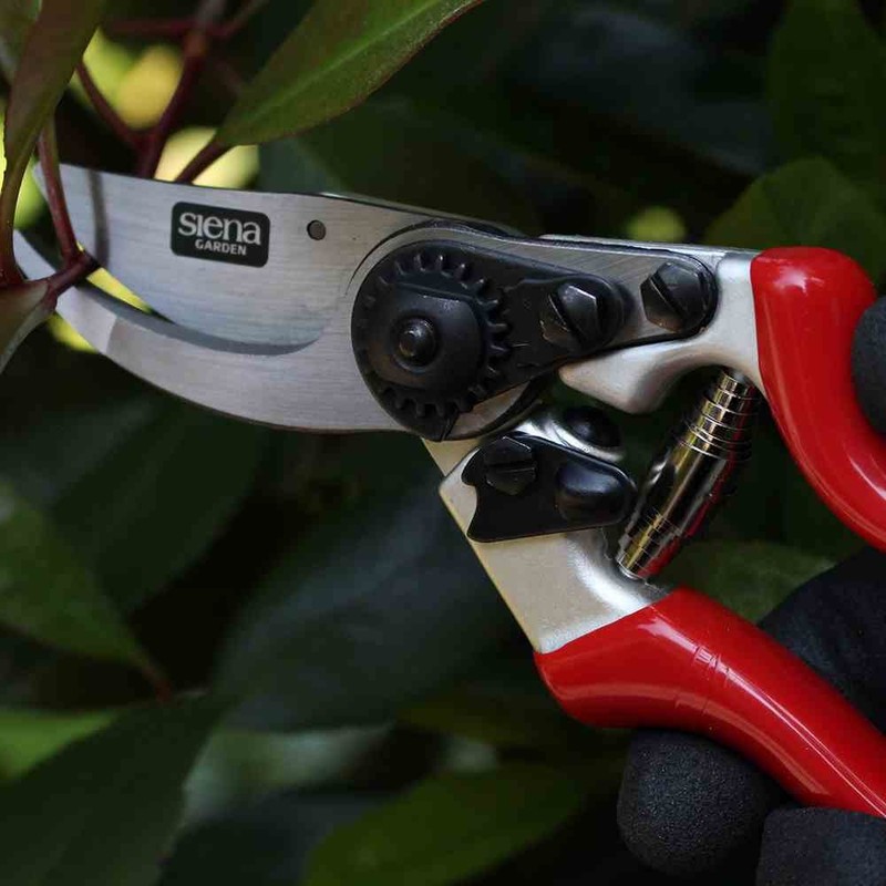 Siena Garden 691530 Premium Bypass Pruning Sheers 8 EG