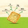Vloong Green Onion Flavor Thin Crackers, Individual Packs with Versatile