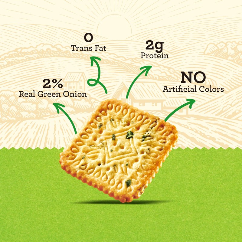 Vloong Green Onion Flavor Thin Crackers, Individual Packs with Versatile