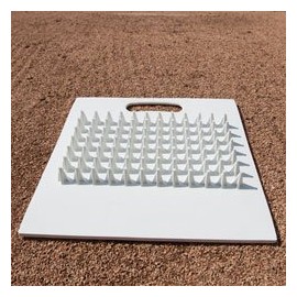 BSN Sports Cleat & Spike Cleaner