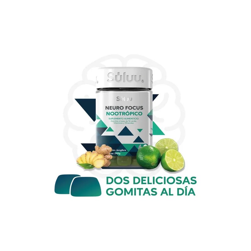 Suplemento Concentración Mental Acido Fólico Nootropicos Limón Y Jengibre