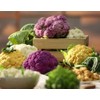 NIKA SEEDS - Seeds Vegetable Cauliflower Cabbage Mix - 200